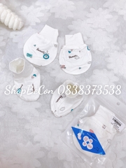 Set bao chan tay sợi tre 22AP02