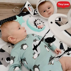 Thảm Đàn Tiny Love