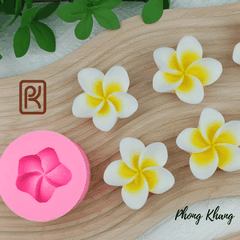 Khuôn silicon 4d làm rau câu hoa sứ