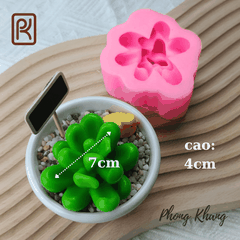 Khuôn silicon sen đá