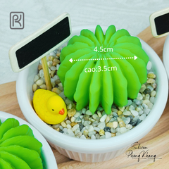 Khuôn silicon xương rồng