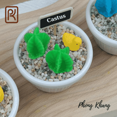 Khuôn silicon 4d làm rau câu hình xương rồng