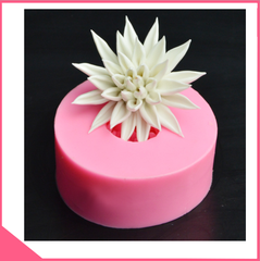 Khuôn silicon 4d làm rau câu hoa súng