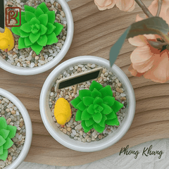 Khuôn silicon 4d làm rau câu sen đá