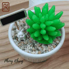 Khuôn silicon 4d làm rau câu sen chuỗi ngọc