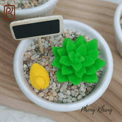 Khuôn silicon 4d làm rau câu sen đá