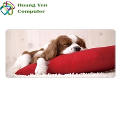 Lót Chuột Khổ Siêu Lớn 80 x 30 Dày 0.3 cm Có Viền