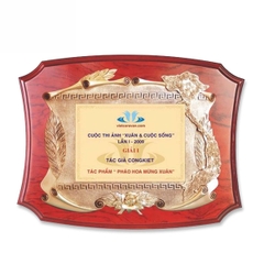 Bang-Vinh-Danh-Go-Dong-2714STV