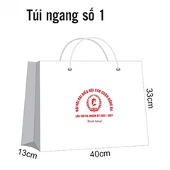 TÚI GIẤY - 3700STV