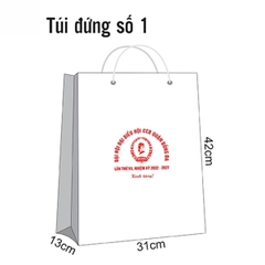 TÚI GIẤY - 3701STV