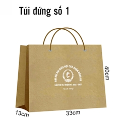 TÚI GIẤY - 3703STV