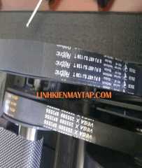 Dây curoa máy chạy bộ