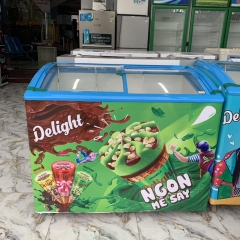 Tủ đông Sanaky xanh
