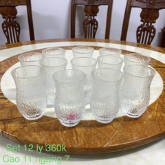 Bộ ly 360