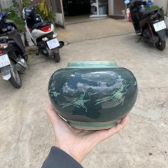 BÌNH SỨ MEN RÊU