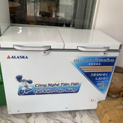 Tủ đông 54