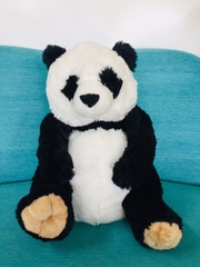Gấu Lê Liam