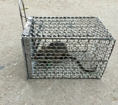 Lồng Bẫy Chuột Sắt - Size Trung