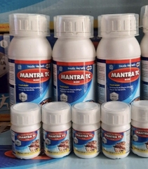 Thuốc Diệt Mối Mantra 30.5SC