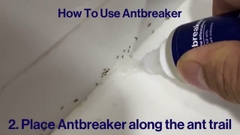 Thuốc Diệt Kiến AntBreaker