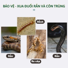 Thuốc Đuổi Rắn Drive Snake - Dạng Hạt