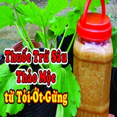 Thuốc Trừ Sâu Sinh Học Hero