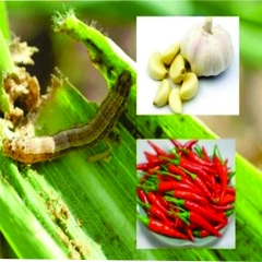 Thuốc Trừ Sâu Sinh Học Hero