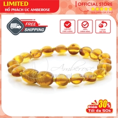 Bộ Vòng Hổ Phách Amber Úc Cho Bé 0 - 3 tuổi SAB1MOLV