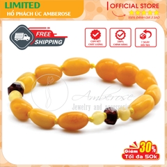 Bộ Vòng Hổ Phách Amber Úc Cho Bé 0 - 3 tuổi ( Mẫu Đặc Biệt ) SABLMT31