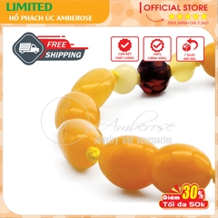 Bộ Vòng Hổ Phách Amber Úc Cho Bé 0 - 3 tuổi ( Mẫu Đặc Biệt ) SABLMT31