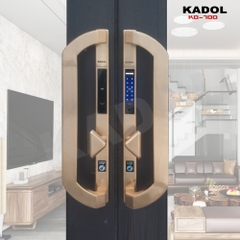 Kadol KD-700