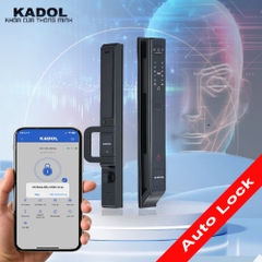 KADOL KD-404