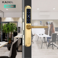 KADOL KD-300