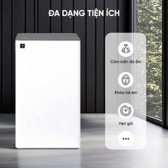 Máy hút ẩm Sharp DW-T30HV-W