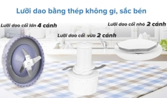 Máy xay sinh tố đa năng Philips HR2223/00
