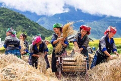 The Overhelmed Natural Vietnam Tour 11 Days