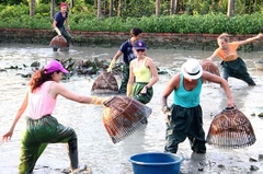 The very pleasant Vietnam Tour 22 Days