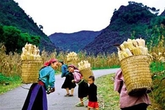 The Overhelmed Natural Vietnam Tour 11 Days