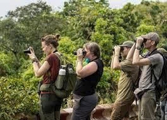 DA NANG CITY HIGHLIGHTS AND NATURAL WONDERS FROM TIEN SA PORT