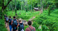 CUC PHUONG NATIONAL PARK FULL-DAY ECO TOUR