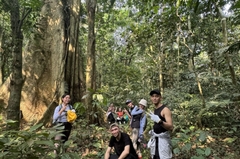 CUC PHUONG NATIONAL PARK FULL-DAY ECO TOUR