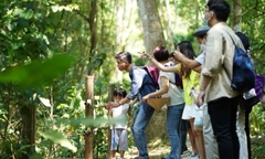 CUC PHUONG NATIONAL PARK FULL-DAY ECO TOUR