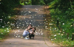 CUC PHUONG NATIONAL PARK FULL-DAY ECO TOUR