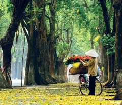 1 WEEK IN VIETNAM - 05 IDEAS FOR YOUR CHOICE