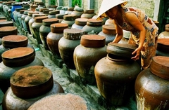 HOI AN CULTURAL CRUISE AND RHUM DISTILLERY TOUR