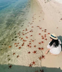 THE GREAT HONEYMOON VACATION 11 DAYS