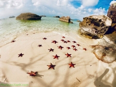 PHU QUOC ISLAND HALF-DAY EXPERIENCE