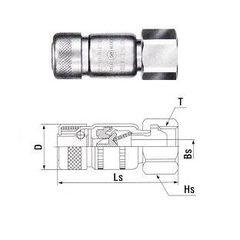 Khớp nối khí ga đầu cái ren trong 22SF