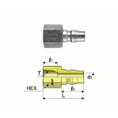 Female Thread - Brass - 22PF2