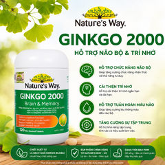 Bổ não ginkgo biloba nature's way 2000mg giúp tăng tuần hoàn máu não, giảm đau đầu 120 viên/hộp